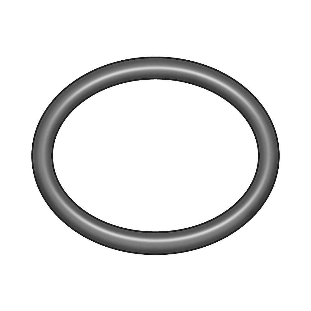 GRAINGER APPROVED 1CHT5 O-Ring,EPDM,Black,PK100 1CHT5