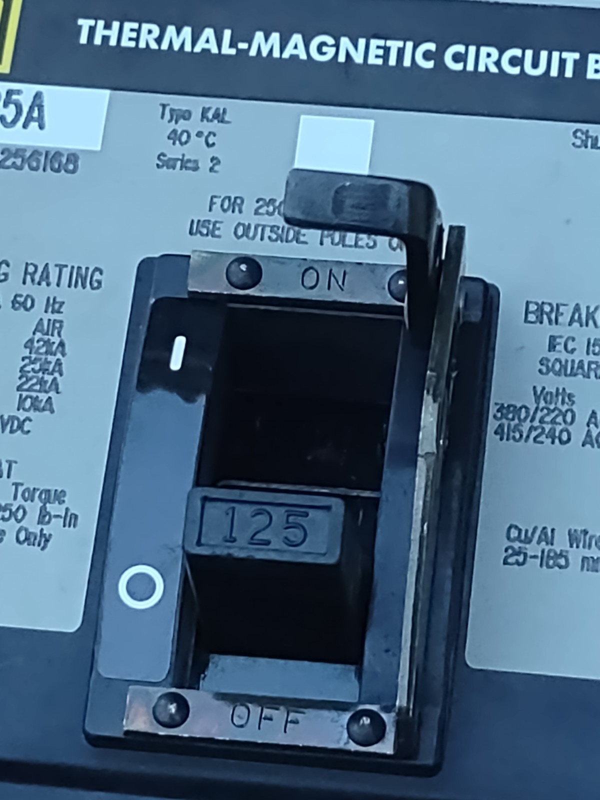 Square D KAL361256168 125A 3P Thermal-Magnetic Circuit Breaker Shunt Trip