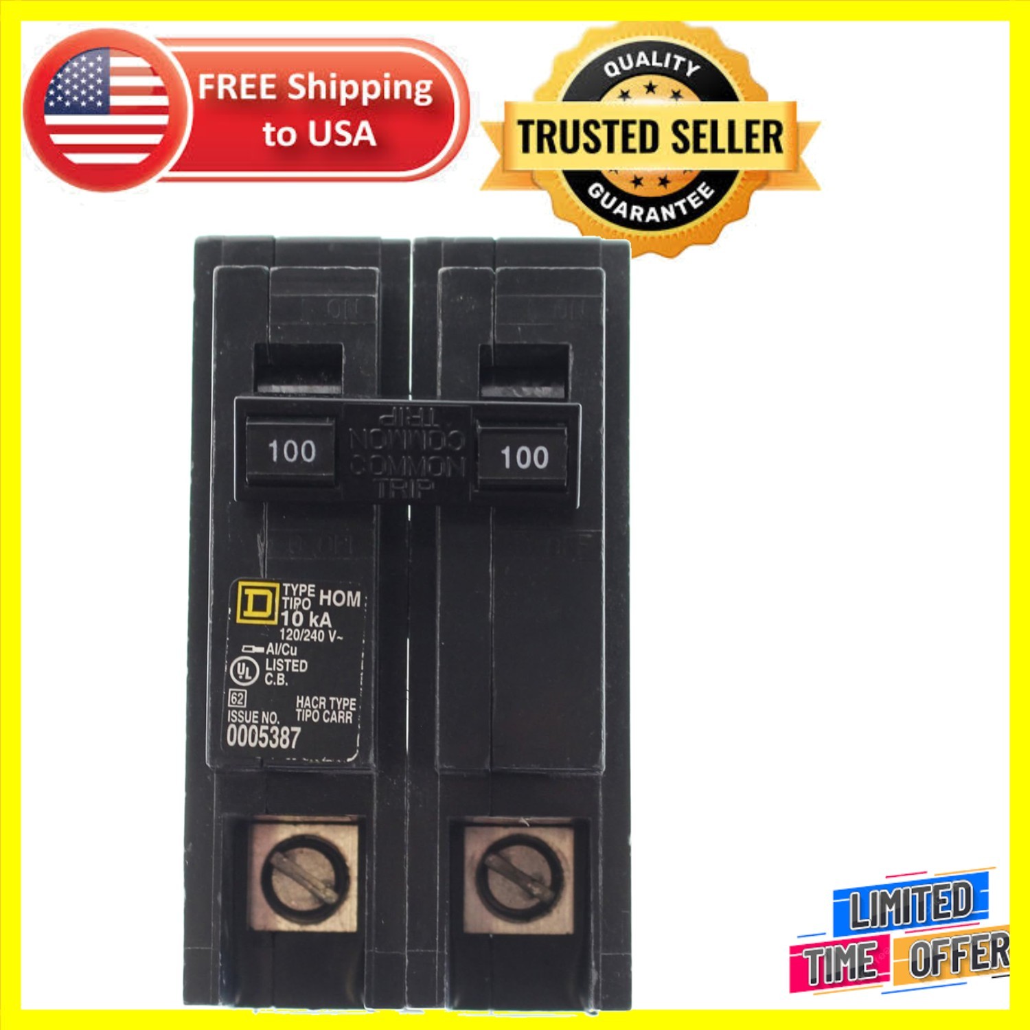 Reliable 100 Amp 2-Pole Circuit Breaker for Enhanced Electrical Safety, 120/240V