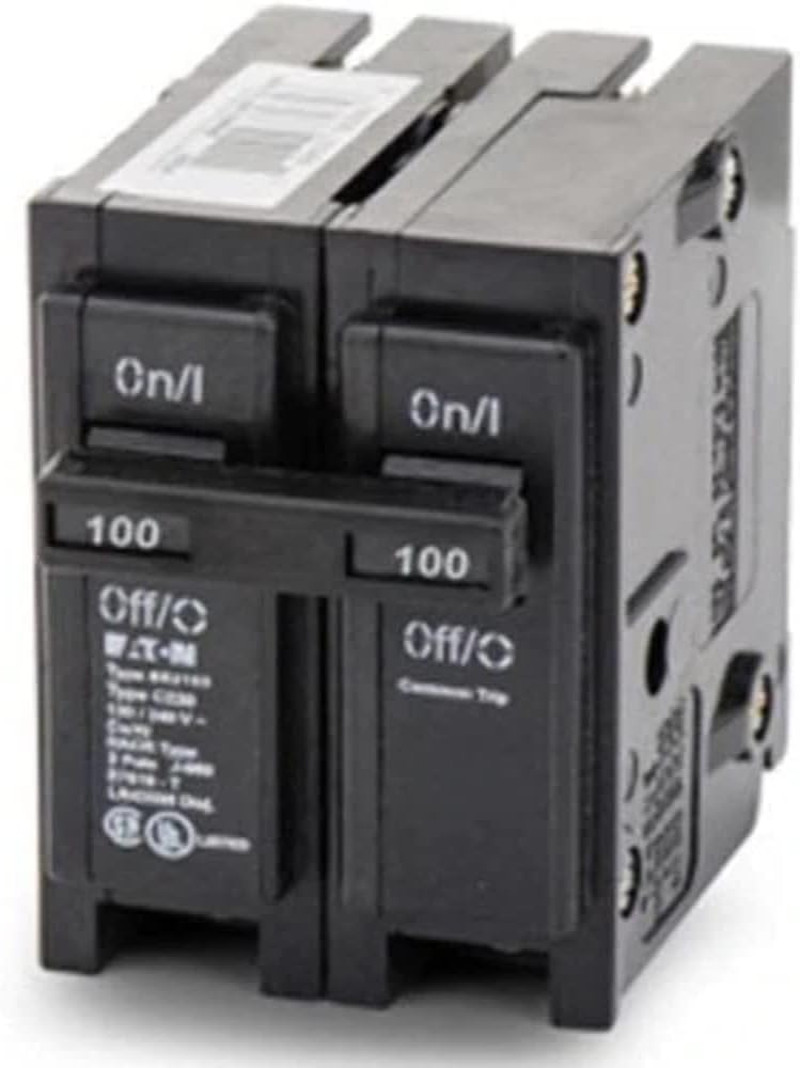 BR 100A Double-Pole Standard Trip Circuit Breaker – 1 Each