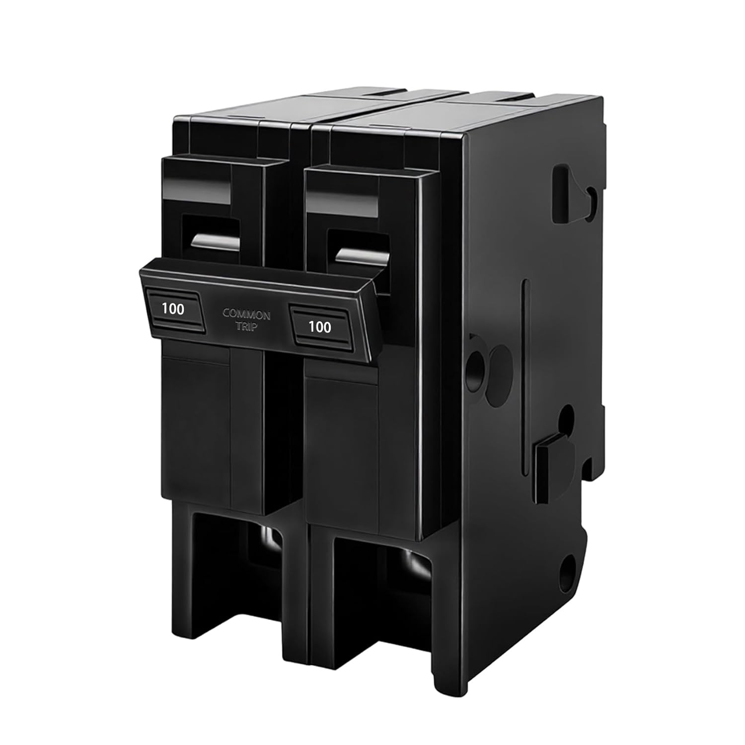 100 Amp 2 Pole Breaker,Replace for HOM2100 Circuit Breaker,100 Amp 2 Pole,120/24