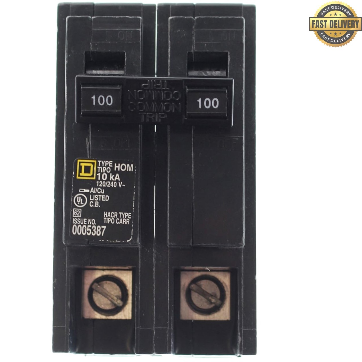 Faster Installation 100 Amp 2-Pole Circuit Breaker – Schneider Electric 120/240V
