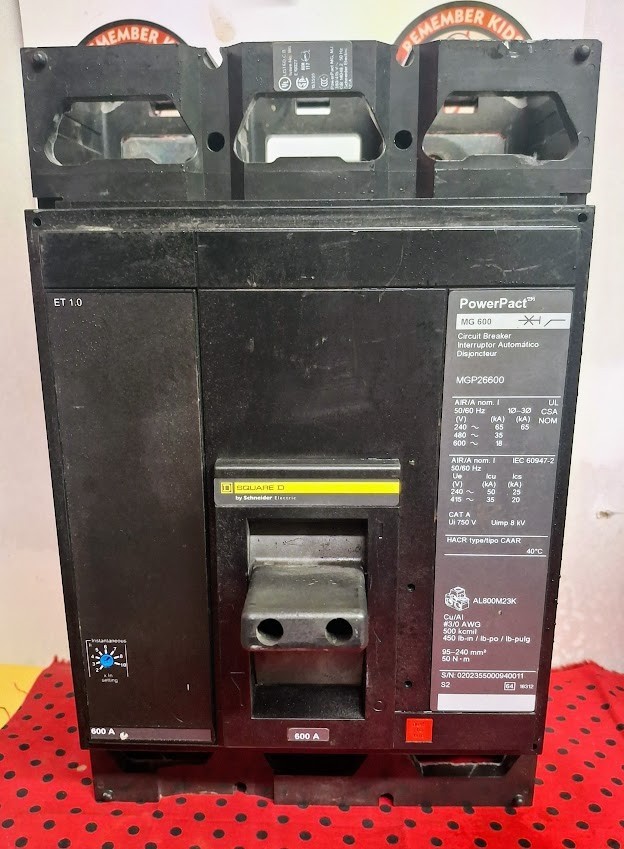 SQUARE D MGP26600 600 Amp 2-Pole 60OV PowerPacT Circuit Breaker SHIPS SAME DAY