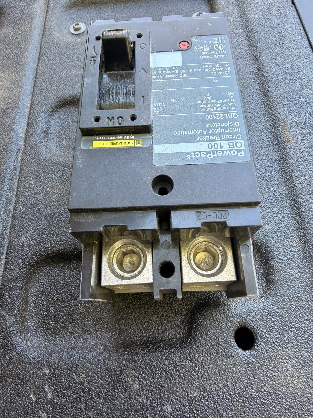 Square D 2 Pole Circuit Breaker – 100Amp (QBL22100)