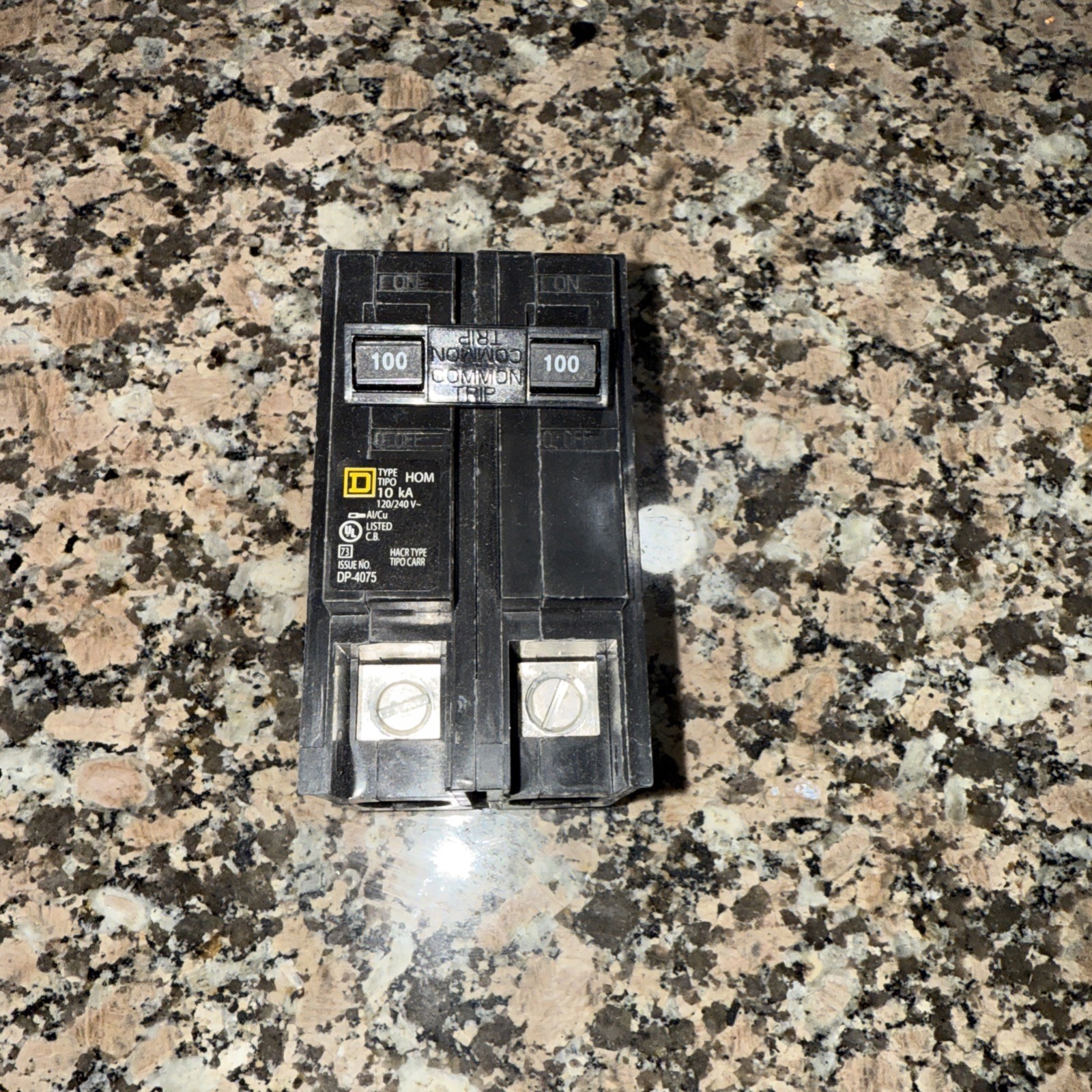 Square D HOM2100 100 A Miniature Circuit Breaker