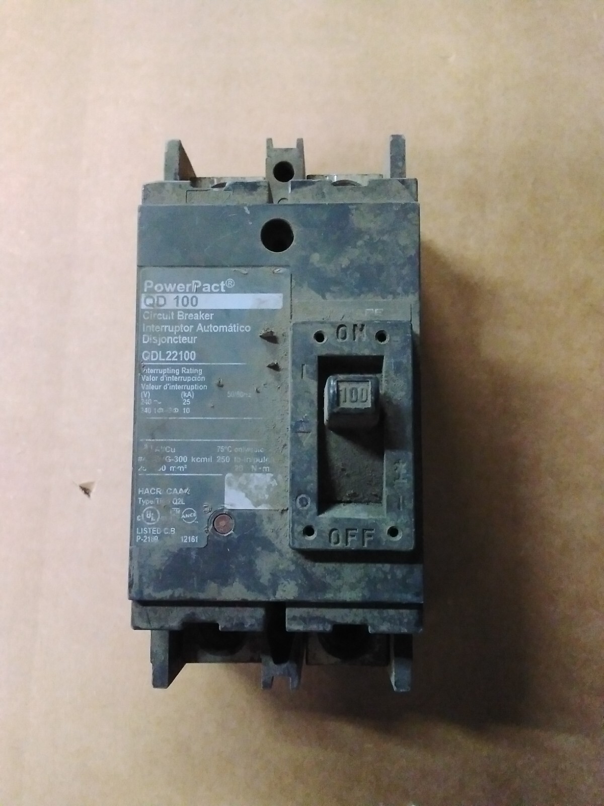 Square D QDL22100 – PowerPacT 2 Pole 100 Amp Breaker